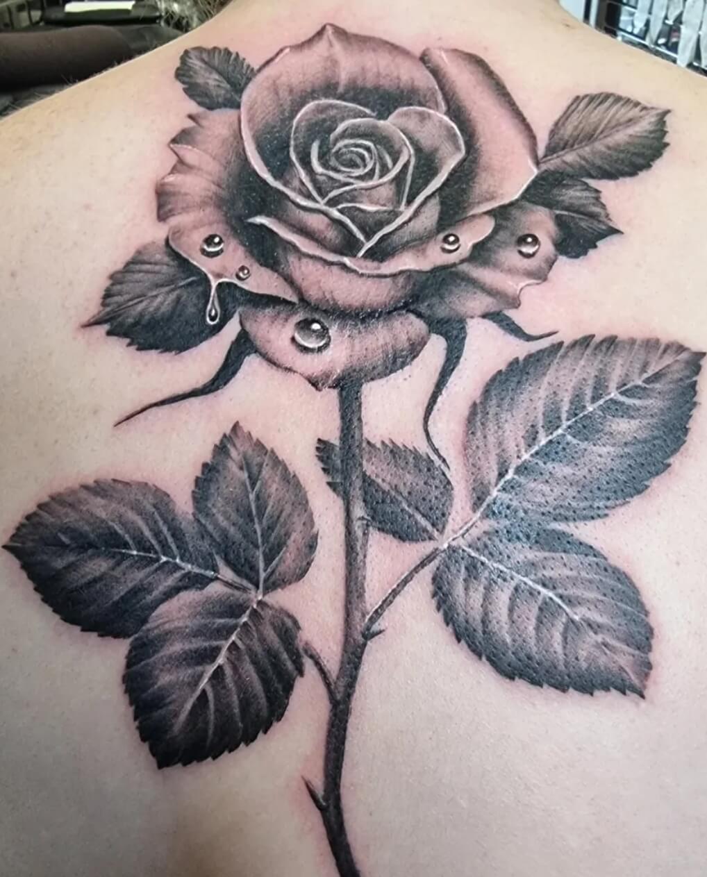 Black and grey realism tattoo of a detailed rose with water droplets on petals and leaves, created at Old Stone Tattoo House in Athlone, Ireland.