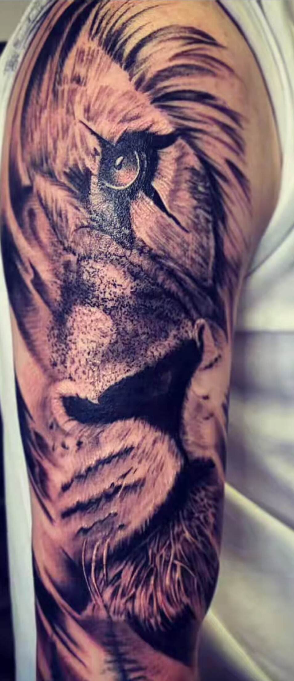 Black and grey realism tattoo of a lion's face on the upper arm, featuring intricate fur texture and a detailed eye, created at Old Stone Tattoo House in Athlone, Ireland.